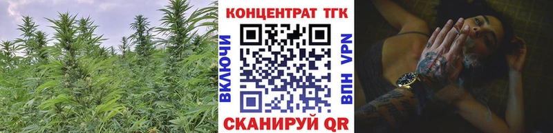 ТГК концентрат где найти Красавино